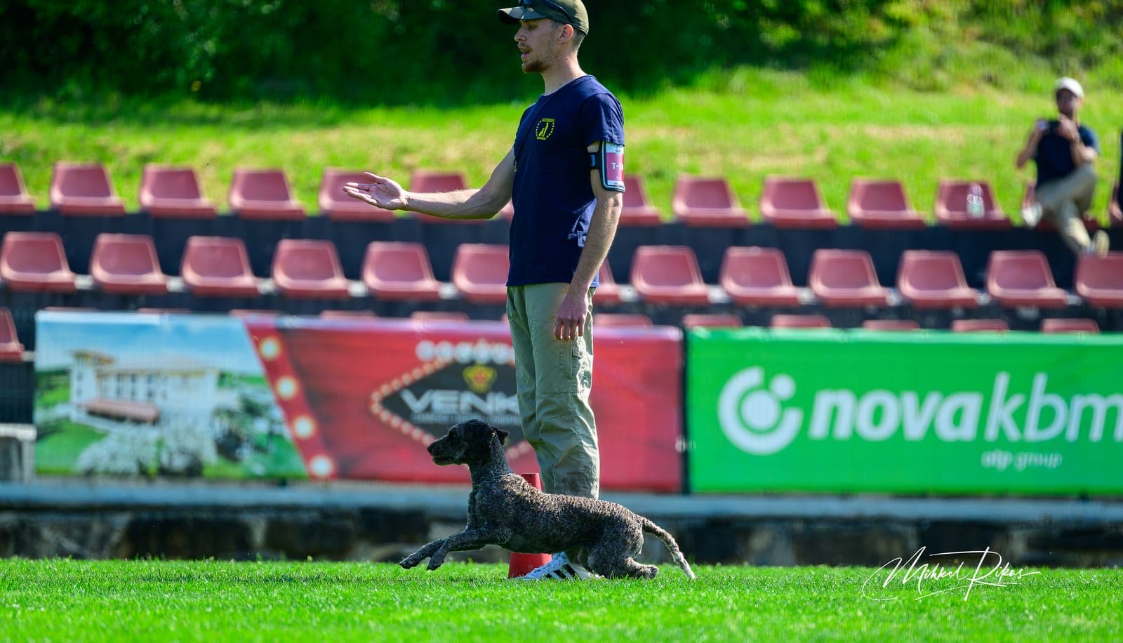 Lagotto Romagnolo — svestran sportski pas