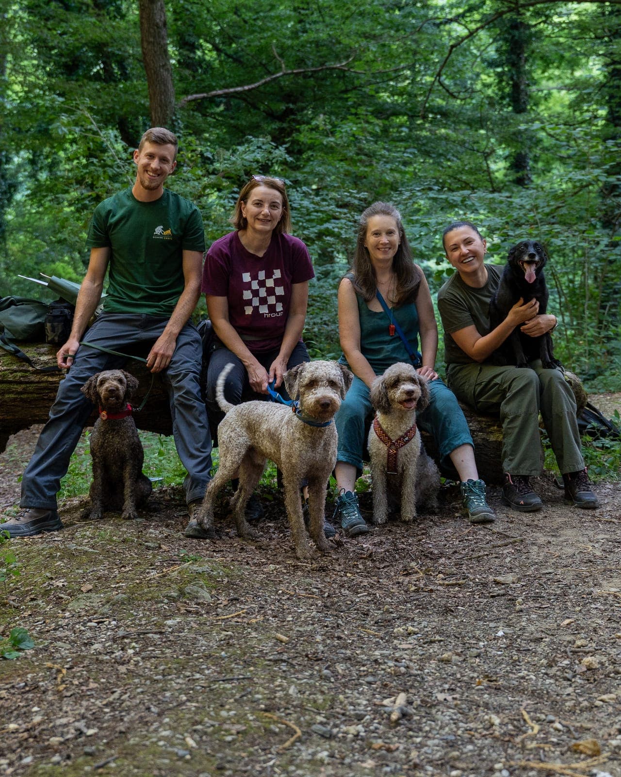 A truffle dog in the forest, paws covered in soil after searching