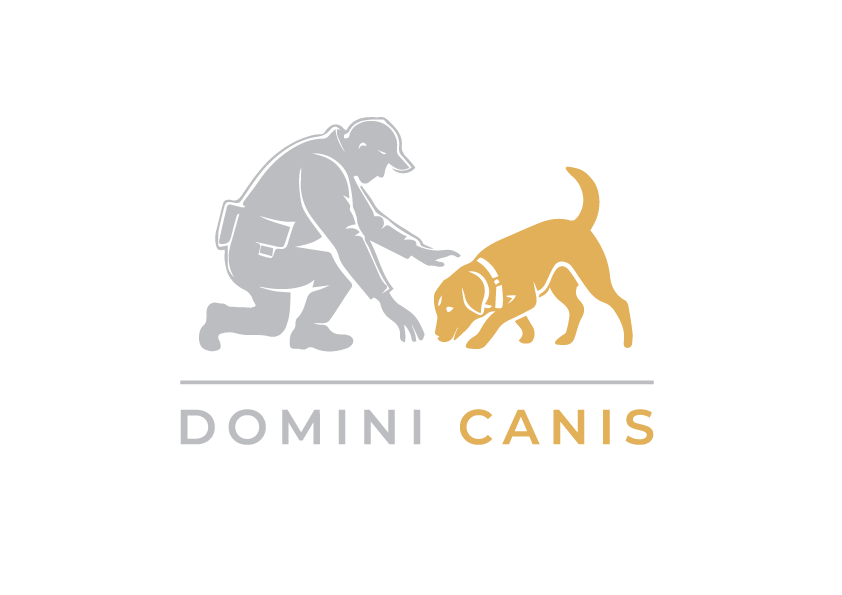 Domini Canis